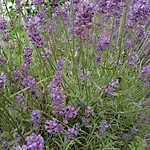 Uroczy Na Mazurach Apartamento Nowe Kiejkuty