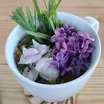 Uroczy Na Mazurach Apartamento Nowe Kiejkuty