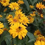 Uroczy Na Mazurach Apartamento *