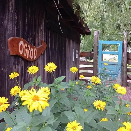 Uroczy Na Mazurach Apartmán Nowe Kiejkuty