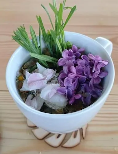 Uroczy Na Mazurach Apartmán Nowe Kiejkuty