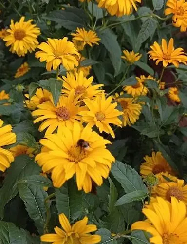 Uroczy Na Mazurach Apartmán *